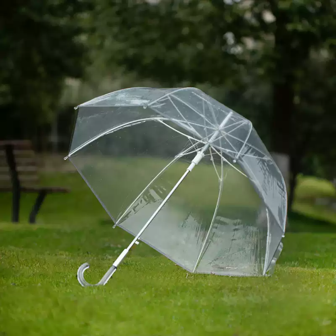 Clear Transparent Umbrella