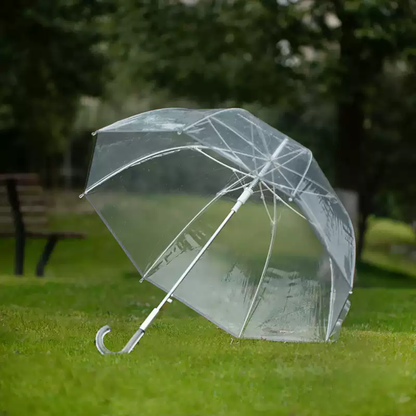 Clear Transparent Umbrella