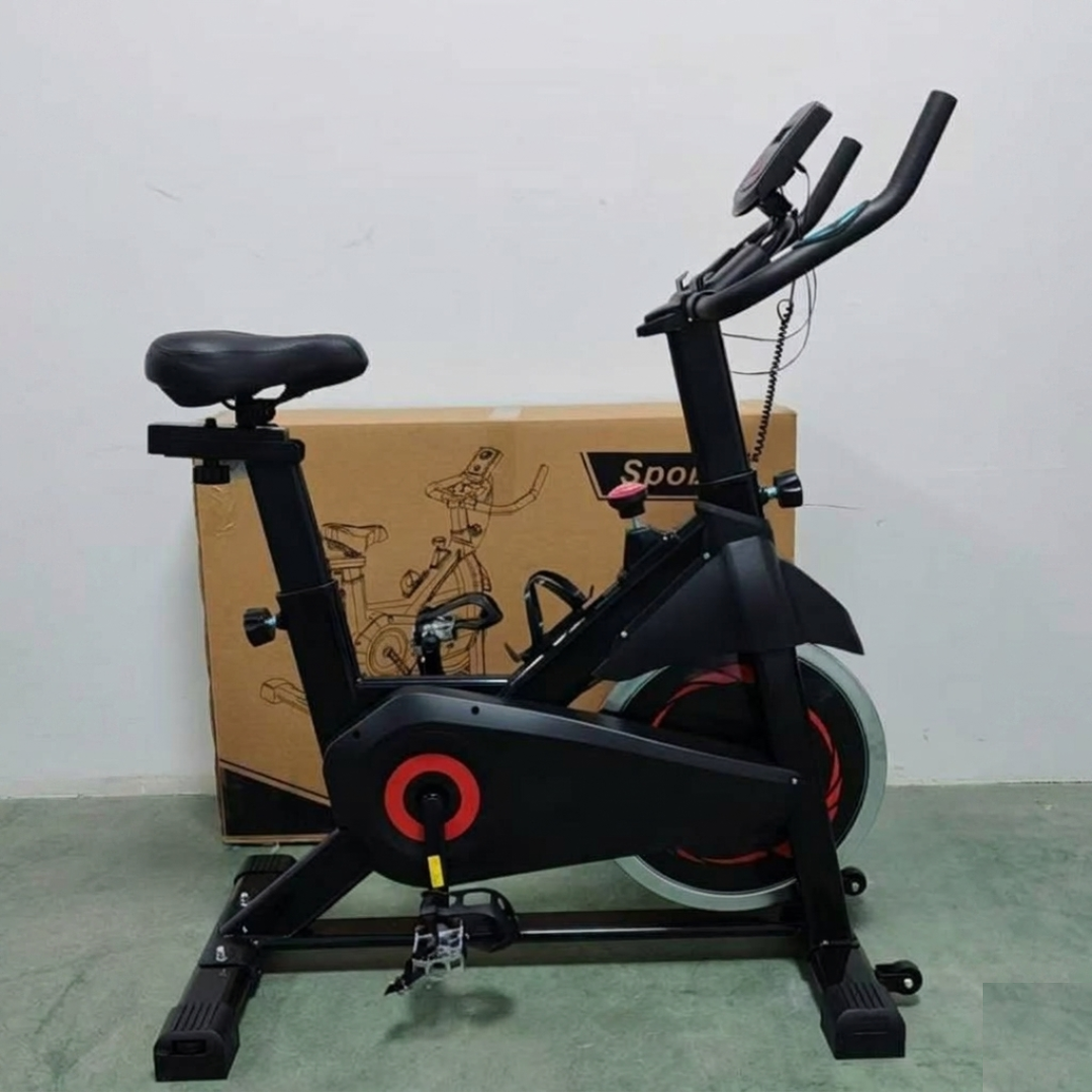 Euromax Fitness exercise / spin bike