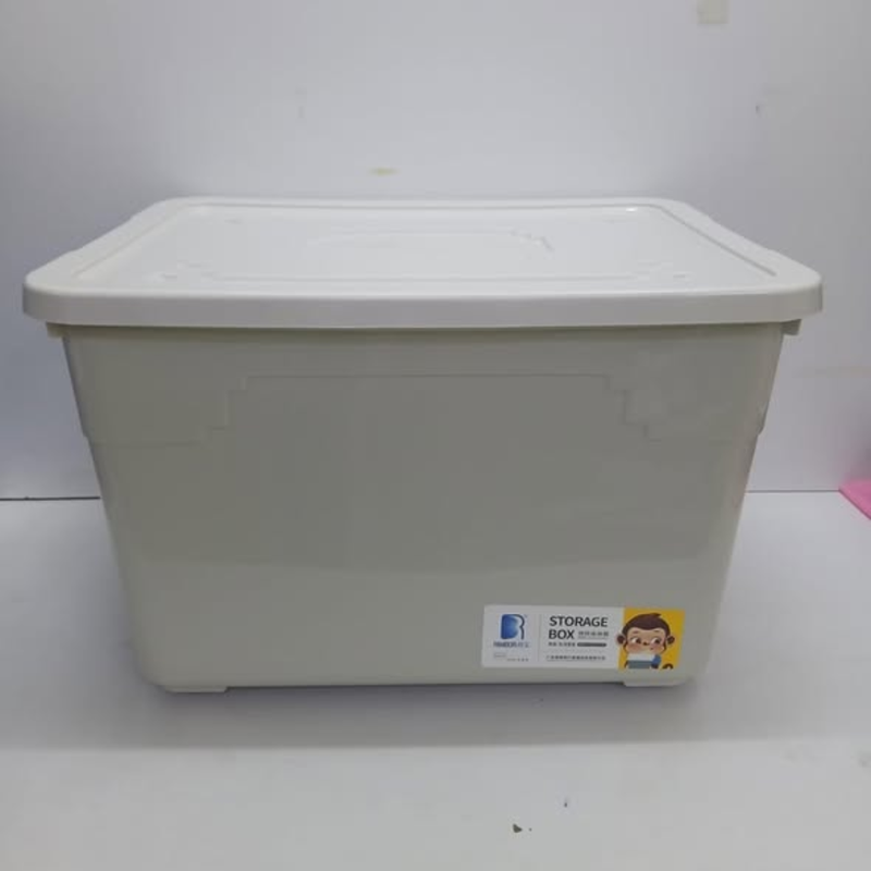 Storage Bins & Boxes