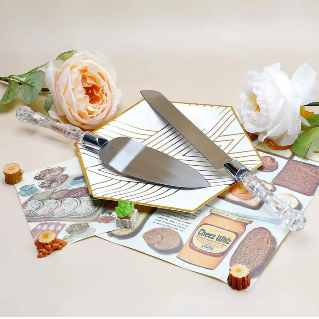 Stainless Steel Cake Cutter and Pie Spatula
