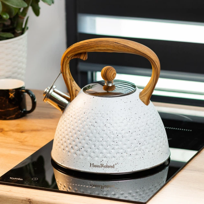 Stainless Steel Whistling Kettle